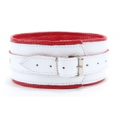 Бело-красный кожаный ошейник - БДСМ Арсенал - купить с доставкой в Воронеже