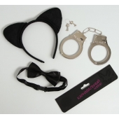 Эротический игровой набор  Киса - Сима-Ленд - купить с доставкой в Воронеже