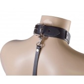 Черный ошейник с металлическими зажимами на соски и поводком - Sitabella - купить с доставкой в Воронеже