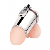 Серебристая сплошная клетка для фаллоса Ultimate Cock Tease Cage - BlueLine - купить с доставкой в Воронеже