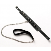 Черный ошейник с шипами и поводком - Crazy Handmade - купить с доставкой в Воронеже