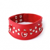 Кожаный красный ошейник с велюровой подкладкой - Sitabella - купить с доставкой в Воронеже