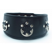 Чёрный кожаный ошейник с полукольцами и клёпками - БДСМ Арсенал - купить с доставкой в Воронеже