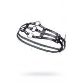 Черный кожаный пояс с кольцами - Pecado - купить с доставкой в Воронеже