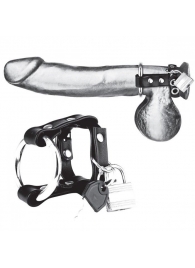 Металлическое кольцо на пенис на ремешке с замочком - BlueLine - купить с доставкой в Воронеже