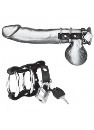 Двойное металлическое кольцо на пенис с замком на ремне - BlueLine - купить с доставкой в Воронеже