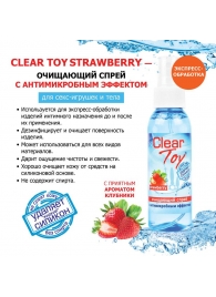 Очищающий спрей для игрушек CLEAR TOY Strawberry - 100 мл. - Биоритм - купить с доставкой в Воронеже