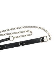 Черный ошейник с поводком Wild - Lola Games - купить с доставкой в Воронеже