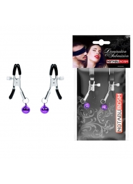 Оригинальные зажимы на соски с фиолетовыми шариками - Notabu - купить с доставкой в Воронеже