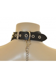 Ошейник  Веселый Роджер - Sitabella - купить с доставкой в Воронеже