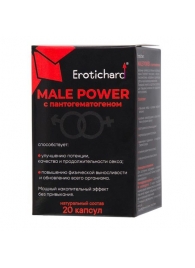 Капсулы для мужчин Erotichard male power с пантогематогеном - 20 капсул (0,370 гр.) - Erotic Hard - купить с доставкой в Воронеже