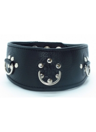 Чёрный кожаный ошейник с полукольцами и клёпками - БДСМ Арсенал - купить с доставкой в Воронеже