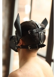 Эффектная маска собаки с металлическими заклепками - БДСМ Арсенал - купить с доставкой в Воронеже
