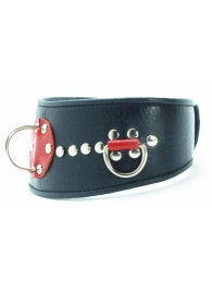 Кожаный ошейник с металлическими клепками - БДСМ Арсенал - купить с доставкой в Воронеже