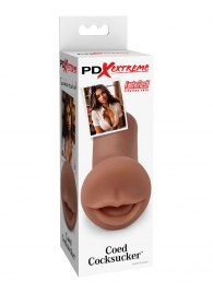 Мастурбатор-ротик Coed Cocksucker - Pipedream - в Воронеже купить с доставкой