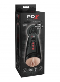 Мастурбатор-вагина с вибрацией Dirty Talk Starter Stroker - Pipedream - в Воронеже купить с доставкой