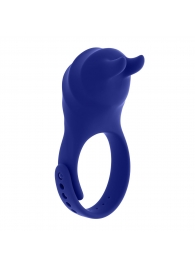 Синее эрекционное виброкольцо с клиторальной подушечкой и пультом ДУ Adjustable Fun Ring - Zero Tolerance - в Воронеже купить с доставкой