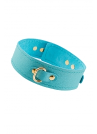 Голубой кожаный однослойный ошейник с прошивкой - Pecado - купить с доставкой в Воронеже