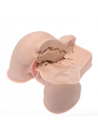 Мастурбатор-полуторс Naked Factory Kate - Naked Factory - в Воронеже купить с доставкой