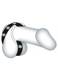 Подхват для мошонки с 3 съемными эрекционными кольцами Leder-Riemen - Orion - в Воронеже купить с доставкой