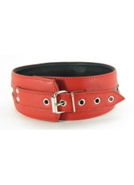 Черно-красный кожаный ошейник увеличенного размера - БДСМ Арсенал - купить с доставкой в Воронеже