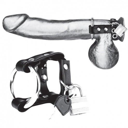 Металлическое кольцо на пенис на ремешке с замочком - BlueLine - купить с доставкой в Воронеже