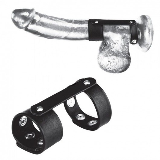 Двойной поддерживаюший ремень для пениса с заклепками - BlueLine - купить с доставкой в Воронеже