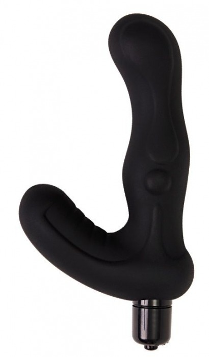 Черный вибромассажер простаты Titan - 15 см. - Le Frivole - в Воронеже купить с доставкой