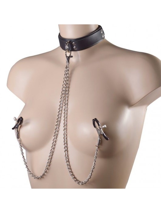 Черный ошейник с металлическими зажимами на соски и поводком - Sitabella - купить с доставкой в Воронеже