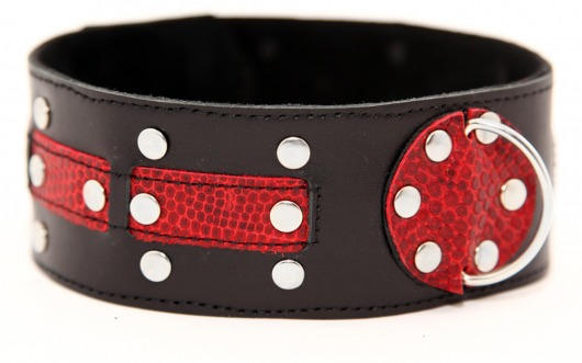 Чёрно-красный ошейник с клёпками - БДСМ Арсенал - купить с доставкой в Воронеже