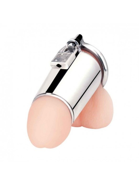 Серебристая сплошная клетка для фаллоса Ultimate Cock Tease Cage - BlueLine - купить с доставкой в Воронеже