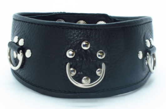 Чёрный кожаный ошейник с полукольцами и клёпками - БДСМ Арсенал - купить с доставкой в Воронеже