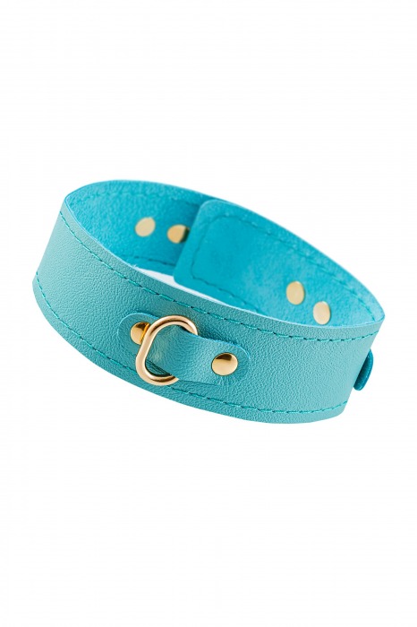 Голубой кожаный однослойный ошейник с прошивкой - Pecado - купить с доставкой в Воронеже