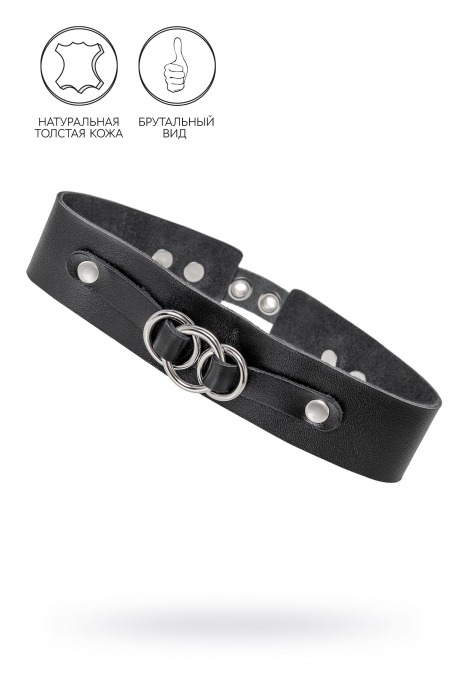 Черный чокер-ошейник со связанными кольцами на подложке - Pecado - купить с доставкой в Воронеже