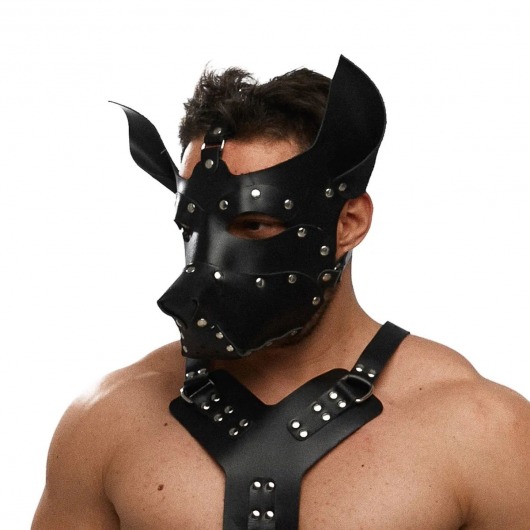 Черная кожаная маска «Собака» - Crazy Handmade - купить с доставкой в Воронеже