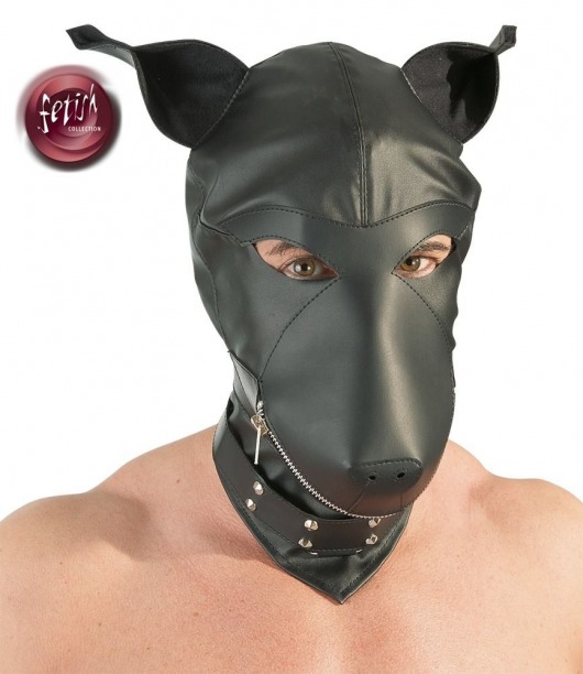 Шлем-маска Dog Mask в виде морды собаки - Orion - купить с доставкой в Воронеже