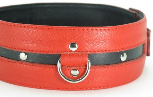 Черно-красный кожаный ошейник увеличенного размера - БДСМ Арсенал - купить с доставкой в Воронеже