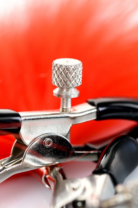 Зажимы для сосков с красным пухом Theatre - ToyFa - купить с доставкой в Воронеже